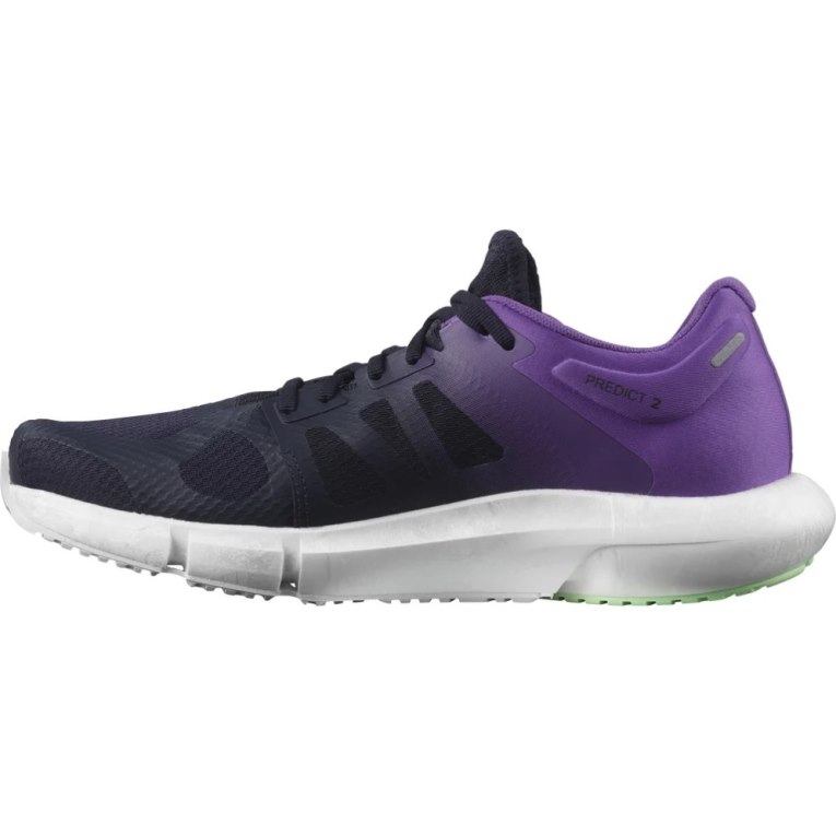 Navy / Purple Salomon Predict 2 Men's Running Shoes | PH 13028W